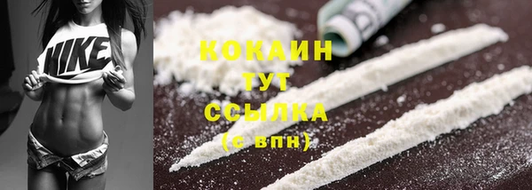 крисы Беломорск