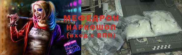 гидра Няндома