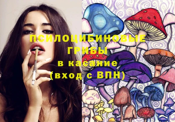 амфетамин Белокуриха