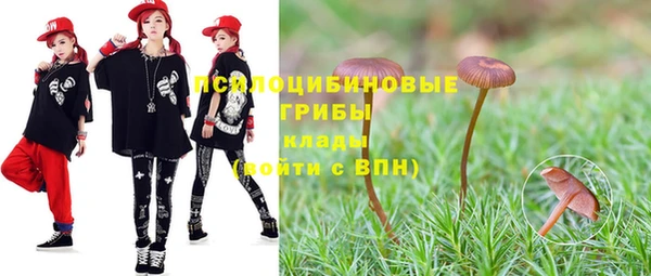 амфетамин Белокуриха