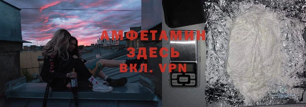 гидра Няндома